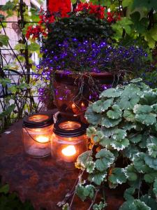 Gallery image of Lensmannsgården in Namdalseid