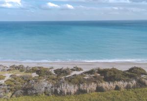 an aerial view of a beach and the ocean at Alykes Beachside Stylish Villas with Private Pool South Rhodes in Lakhania