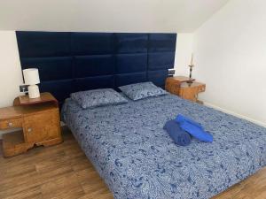 1 dormitorio con 1 cama grande con manta azul en Beskid Family&Chill, en Tenczyn