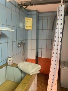 a small bathroom with a shower and a sink at Gemütliches Zimmer in ruhiger Wohngegend in Markkleeberg