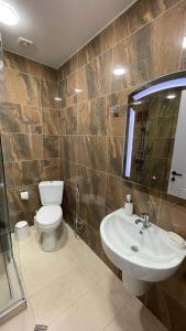 a bathroom with a sink and a toilet at Didveli Residence Studio Apartment in Bakuriani