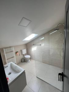 uma casa de banho com um chuveiro, um lavatório e um WC. em Noblesse Bacău em Bacau