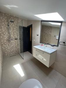a bathroom with a sink and a shower and a toilet at Noblesse Bacău in Bacău