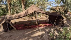 a tent in the middle of a field with palm trees at Chez Madani in Mhamid