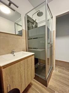 La salle de bains est pourvue d'un lavabo et d'une douche en verre. dans l'établissement tirou 5 centre Brussels-charleroi-airport, à Charleroi