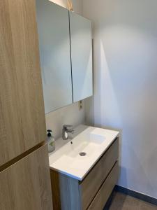 uma casa de banho com um lavatório branco e um espelho. em Q Geraardsbergen em Geraardsbergen