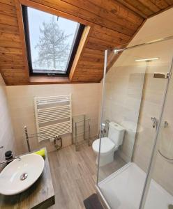 een badkamer met een wastafel, een toilet en een raam bij Wellness Penzion Lázně Jablonec in Jablonec nad Nisou