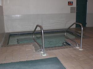 a pool of water with two metal rails in a bathroom at GrandStay Hotel & Suites Hastings in Hastings