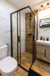 a bathroom with a shower and a toilet and a sink at Apartament Sarenka in Szklarska Poręba