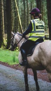a person riding a horse down a road at Forester's Retreat Glamping - Dinas View in Aberystwyth