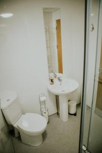 a bathroom with a toilet and a sink at Uist Travel Accommodation in Daliburgh