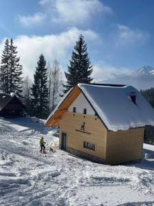 une personne debout devant une cabine dans la neige dans l'établissement Alpine Cottage Golica, à Jesenice