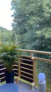 Fotografia z galérie ubytovania Apartament "Park Sudecki" v destinácii Jelenia Góra