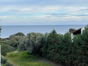 einen Blick auf das Meer von einem Haus mit Bäumen in der Unterkunft Beachfront Studio Socrates in Gennadi