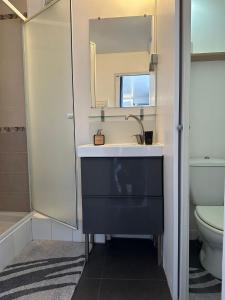 a bathroom with a sink and a mirror and a toilet at suite spa jacuzzi tout confort in Beaumont-sur-Oise