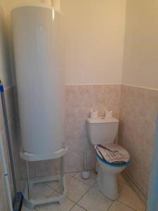 a bathroom with a toilet and a water tank at Appartement Au Bord Du Canal in Montbard