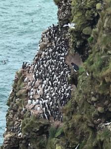 Afbeelding uit fotogalerij van ARDUTHIE STREET in Stonehaven