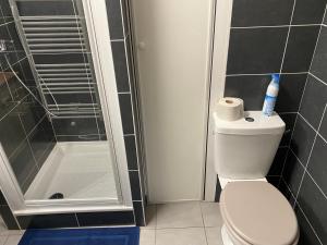 mała łazienka z toaletą i prysznicem w obiekcie T2 Little Bohême grande terrasse plein ciel w mieście Lyon +15 zdjęć