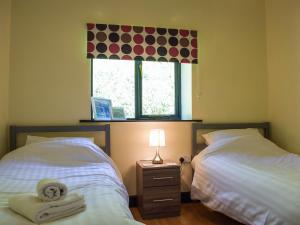 twee bedden in een kamer met een raam en een lamp bij Heyope Cottage in Llangunllo