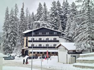 a large building in the snow with trees at Manor Ski Hotel in Predeal