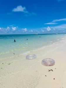 two frisbees on the sand on a beach at Pointe d'Esny Beachfront Luxury Apartment in Pointe d'Esny