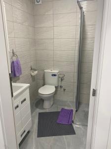 a bathroom with a toilet and a shower and a purple rug at Snow White in Veliko Gradište