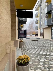 a courtyard of a building with two pots of flowers at Snow White in Veliko Gradište