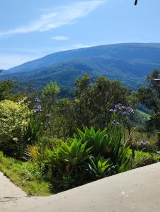 a view from the top of a hill with flowers at Casa em Conceição de Ibitipoca in Conceição da Ibitipoca