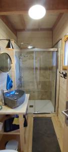 uma casa de banho com um lavatório e um chuveiro em La cabane du bon chemin ,spa em Laval