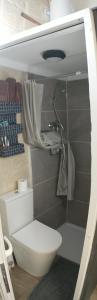 un piccolo bagno con servizi igienici e doccia di Cozy room a Birżebbuġa