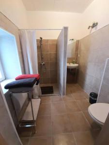 a bathroom with a shower and a toilet and a sink at Townhouse for fitters / Haus für Monteure in Schraplau in Schraplau