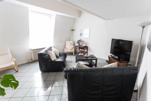 TV a/nebo společenská místnost v ubytování Luxury Apartments Justingerweg Bern