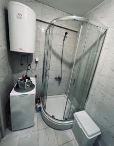a shower in a bathroom with a sink and a toilet at Apartman Lux in Vranje