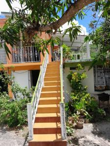 a staircase leading up to a house with a tree at La Belle du Sud in Rodrigues Island