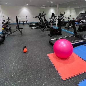 a gym with a pink ball and exercise equipment at Luxury apartment in Muscat Hills in Muscat