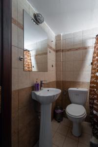 een badkamer met een wastafel, een toilet en een spiegel bij Beautiful apartment LA in Larisa