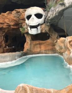 a skull in front of a pool of water at La Perla Negra Eco Pirate Resort in Puntarenas