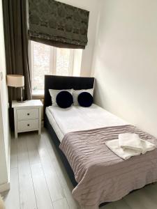 sypialnia z łóżkiem z niebieskimi poduszkami i oknem w obiekcie Apartament Starówka w mieście Płock