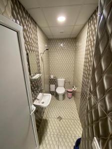 薩莫科夫的住宿－Apartments DIEM，一间带卫生间和水槽的小浴室