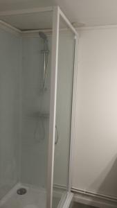 um chuveiro com uma porta de vidro na casa de banho em Studio tout confort au bord du lac d'Estey em Dax