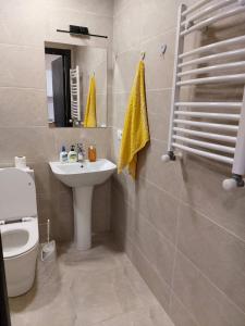Bakuriani Inn Apartment 13 في باكورياني: حمام مع حوض ومرحاض ومرآة