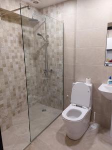 Bakuriani Inn Apartment 13 في باكورياني: حمام مع دش ومرحاض ومغسلة