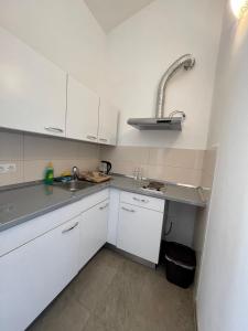 Una pequeña cocina con gabinetes blancos y un fregadero. en Apartments Slapovi, en Studenci