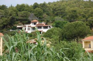 une maison arborée sur le flanc d'une colline dans l'établissement Pine home, à Skiathos Chora