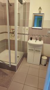 W łazience znajduje się prysznic, umywalka i lustro. w obiekcie Apartmán Café u Kordulky w mieście Ratíškovice