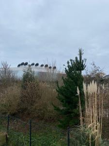 Fotografia z galérie ubytovania Maison calme au cœur de la ville v destinácii Brest
