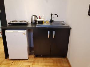 a kitchen counter with a sink and a refrigerator at Studio Buget Arena Nationala Mega Mall Monza in Bucharest +10 photos
