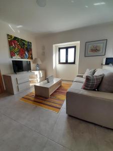 a living room with a couch and a tv at Casa Elizabeth in Pedrógão Grande