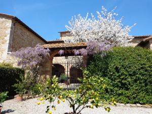 A garden outside Arco al Poggio - Arceno Rentals Club Még 24 kép