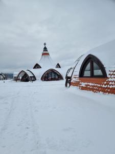 een groep koepels in de sneeuw bij Hunnia - Huntanya in Vlăhiţa